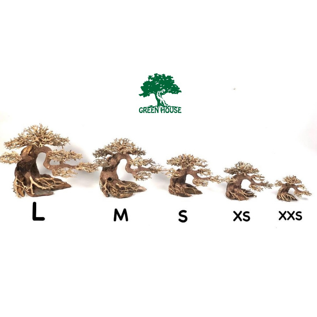 Lũa Bonsai, Lũa thủy sinh dùng trang trí hồ cá cảnh, hồ thủy sinh, văn phòng, nhà cửa- NHÀ XANH