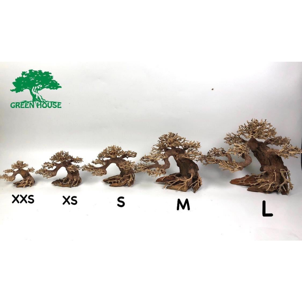 Lũa Bonsai, Lũa thủy sinh dùng trang trí hồ cá cảnh, hồ thủy sinh, văn phòng, nhà cửa- NHÀ XANH