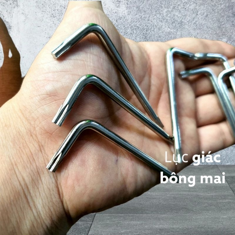 Lục giác vít bông mai