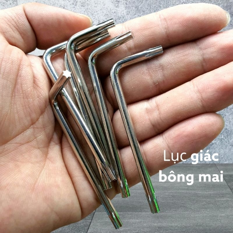 Lục giác vít bông mai