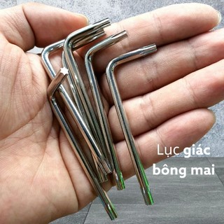 lục giác vít bông mai