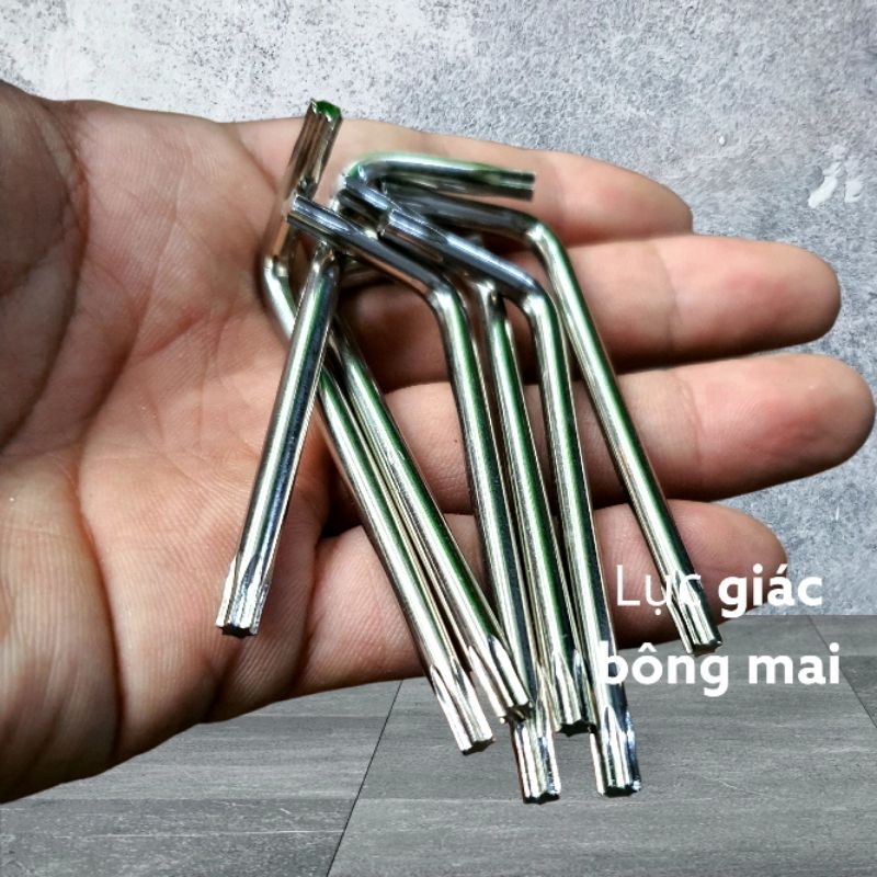 Lục giác vít bông mai
