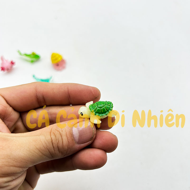 Tiểu cảnh mô hình sinh vật biển mini trang trí hồ cá Terrarium