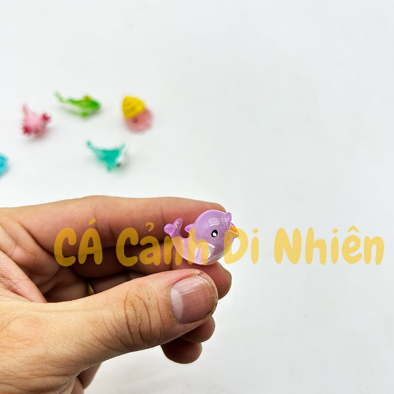 Tiểu cảnh mô hình sinh vật biển mini trang trí hồ cá Terrarium