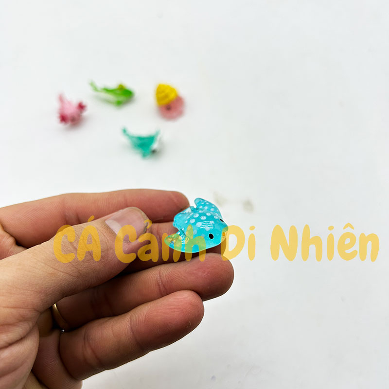 Tiểu cảnh mô hình sinh vật biển mini trang trí hồ cá Terrarium