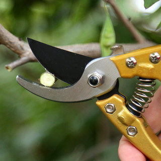  Kéo Cắt Tỉa Cành Cây Nhật Sada 210 siêu sắc bền vĩnh viễn 