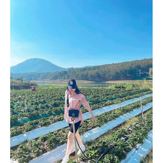 Quần legging đùi form nhỏ
