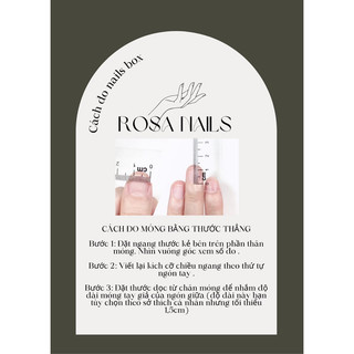 nail box thiết kế