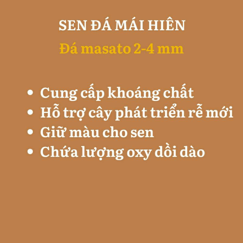 Đá masato,1kg, dùng để trộn giá thể trồng sen đá