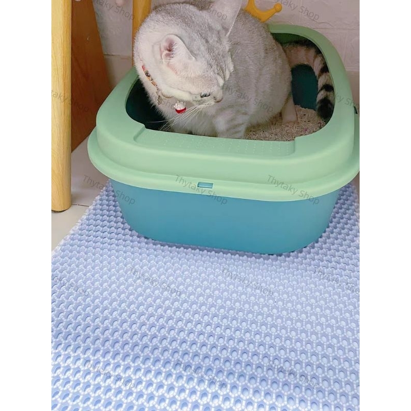 Thảm hứng cát mèo thảm chống văng cát