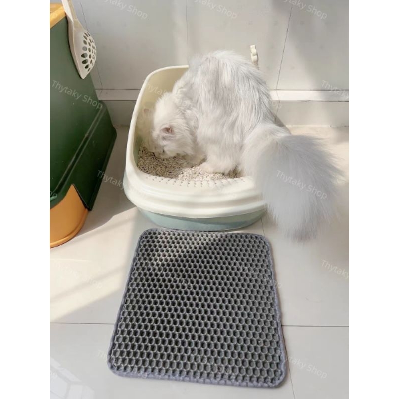 Thảm hứng cát mèo thảm chống văng cát