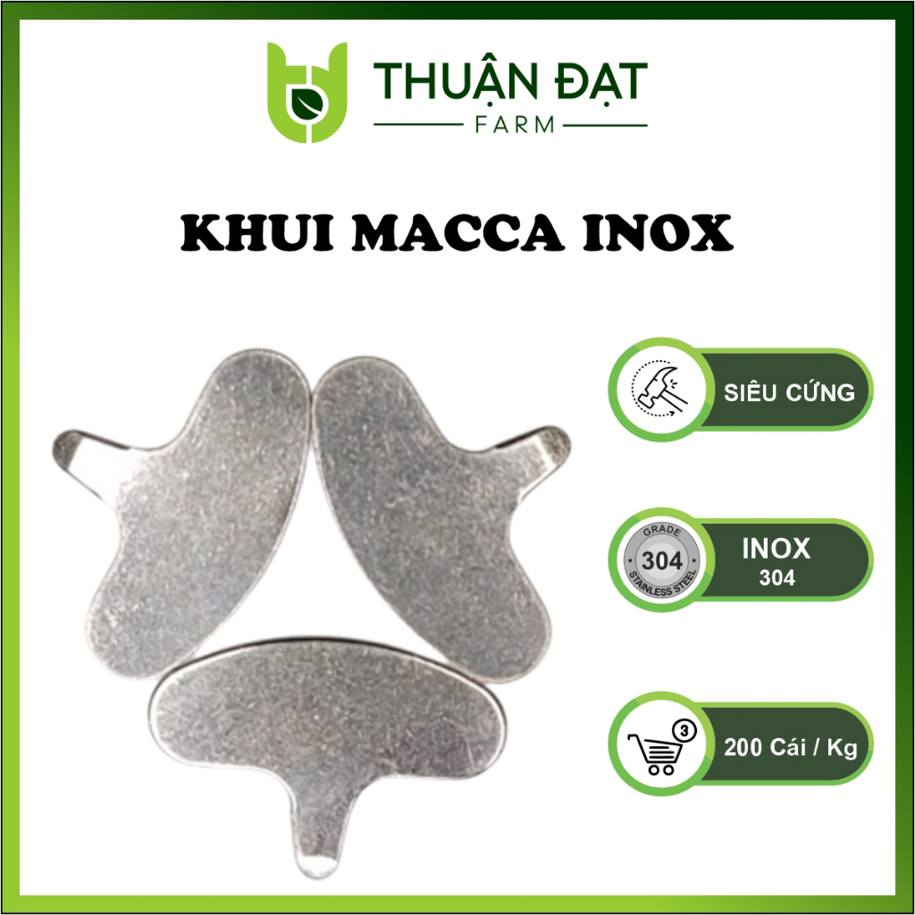 Dụng cụ khui, dao nậy vỏ hạt macca, mở hạt macca-Khía inox, tách vỏ hạt Macca