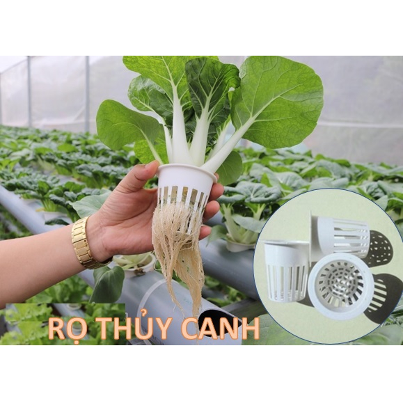 50 Rọ Thủy Canh Nhựa Loại Tốt Bền Đẹp - Rọ Trồng Rau, Củ Thủy Canh Khí Canh