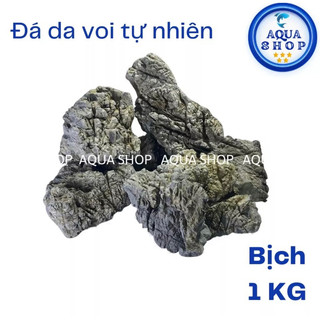Đá da voi đá trang trí - setup cho bể cá cảnh thuỷ sinh, bể biotop...