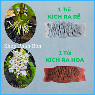 Phân bón kích thích ra hoa, ra rễ cho lan, cây kiểng, dưỡng cây, tan chậm