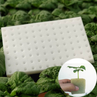  Mút Ươm Hạt Mút Xốp Trồng Rau Thủy Canh Chuẩn Nhật 96 Lỗ Tấm – Giúp Hạt Dễ Nảy Mầm Giữ Ẩm Cực Tốt 