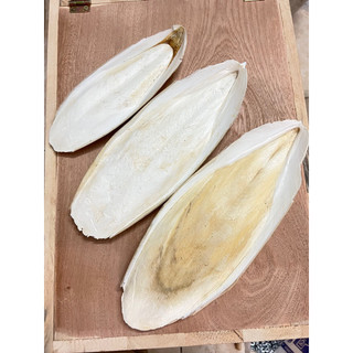 Nan mực cho chim,vẹt,yến phụng,cu gáy…bổ sung canxi