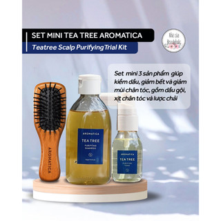Set mini dòng chăm sóc tóc dầu bết ngứa aromatica tea tree purifying trial set