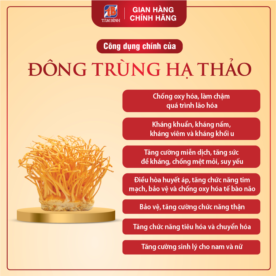 Đông Trùng Hạ Thảo Tâm Bình, Món Quà Thượng Hạng Cho Sức Khỏe, Công Nghệ Sấy Thăng Hoa Đạt Chuẩn, Hộp 10g