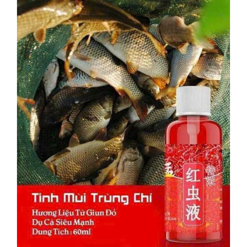 TINH MÙI TRÙNG CHỈ