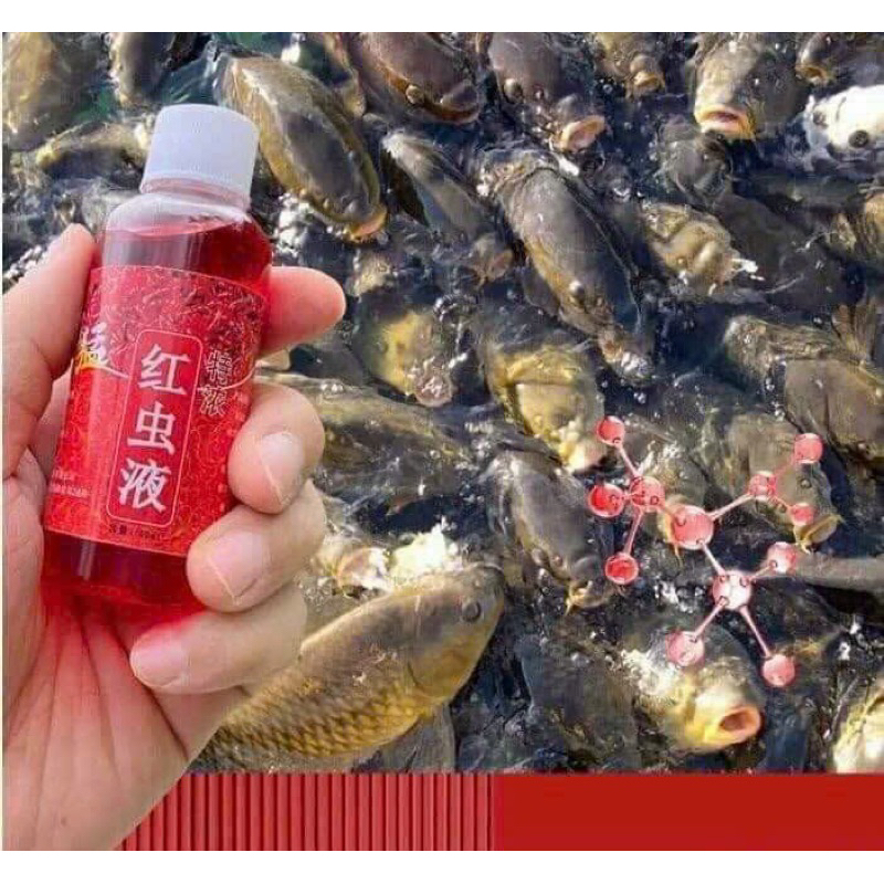 TINH MÙI TRÙNG CHỈ