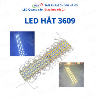 [DÂY 20 CỤM] Cụm LED Hắt 3 Bóng Kích Thước 3609 Chip Led 5054 Siêu Sáng