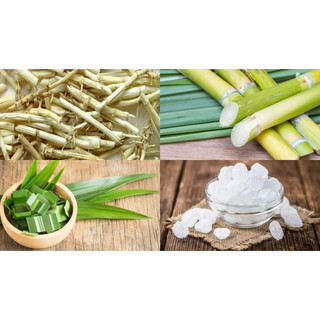 rễ tranh sấy khô 100 gram