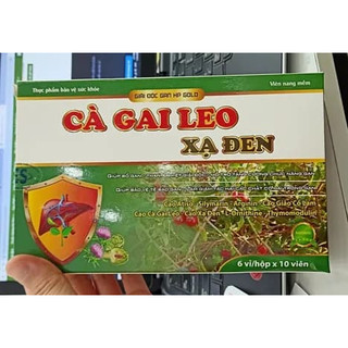 Cà gai leo xạ đen - bổ gan, giải độc gan, tăng cường chức năng gan