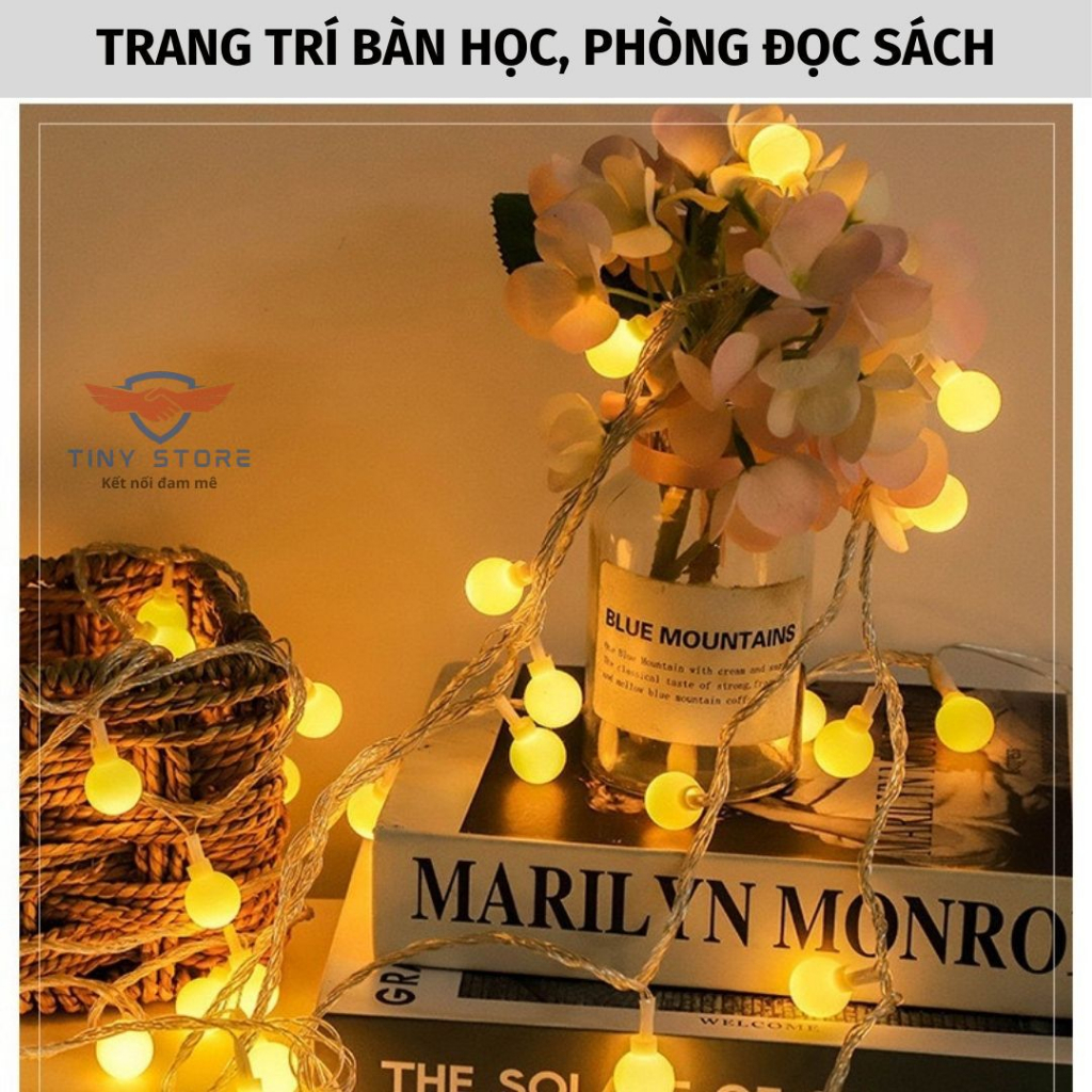 Dây led trang trí dã ngoại dài 6m, 40 bóng nguồn USB & PIN