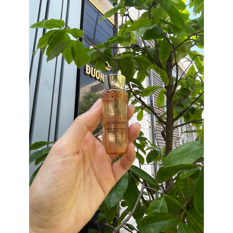 Hoa hồng nhân sâm Sulwhasoo mini