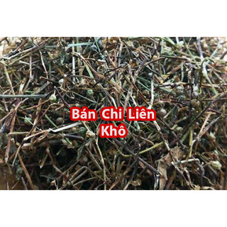 Bán Chi Liên