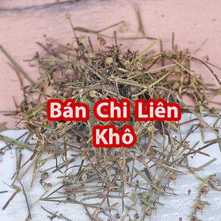 Bán Chi Liên