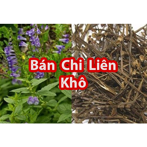 Bán Chi Liên
