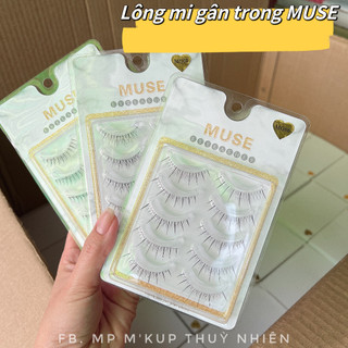 Lông mi giả, mi gân trong muse