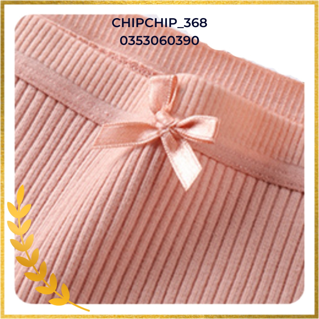 Quần Lót Nữ B08 Sexy Phối Ren Đính Nơ Cạp Vừa Gân Tăm, Quần Chíp Ren Nữ Sinh Trẻ Trung Nhât Bản Nâng Mông Gợi Cảm Dễ Thư