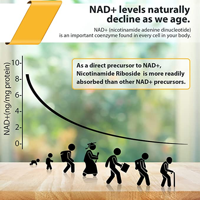 Orgabay Liposomal Nicotinamide Riboside 2000mg - Viên uống giúp chống lão hóa, tăng sức đề kháng, sửa chữa tế bào 60v