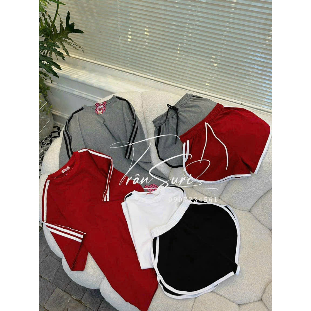 Sét bộ đùi cotton nữ tay lỡ phối viền xinh xắn