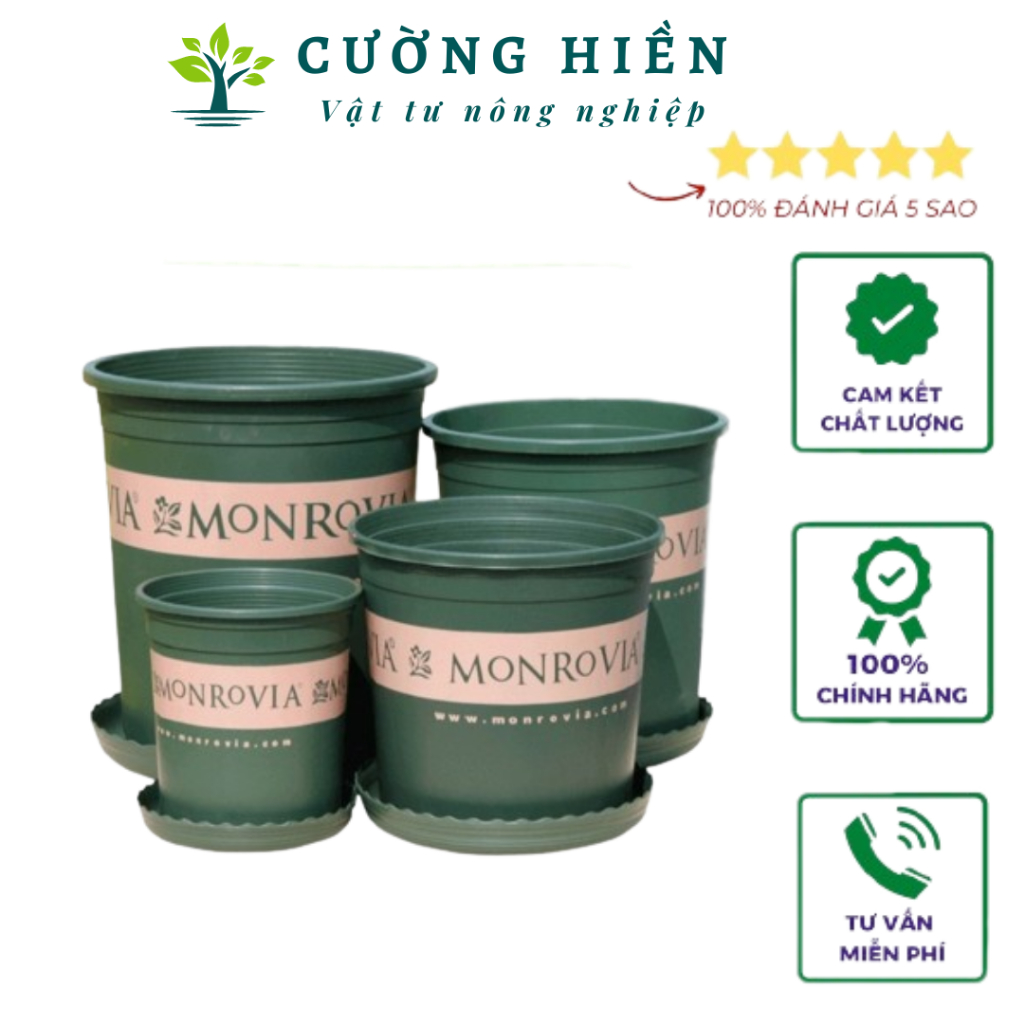 Chậu trồng hoa hồng Monrovia màu đen cao cấp đủ size 1 đến 7