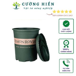 Chậu nhựa trồng cây cao cấp Monrovia cỡ số 3 kèm đĩa lót đáy