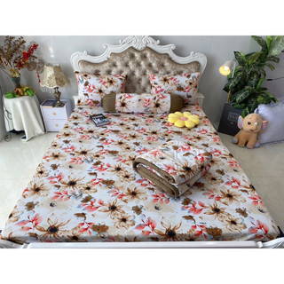 Bộ drap thun hàn quốc 4 món mát mịn