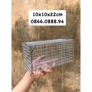 Lồng bẫy sóc,chuột 10x22cm🐁