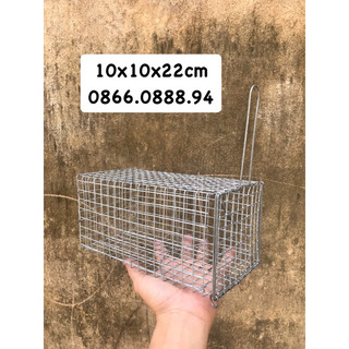 Lồng bẫy sóc,chuột 10x22cm🐁