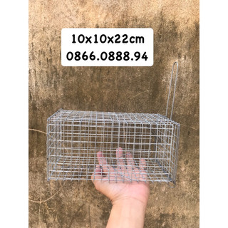 Lồng bẫy sóc,chuột 10x22cm🐁