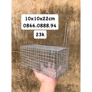 Lồng bẫy sóc,chuột 10x22cm🐁