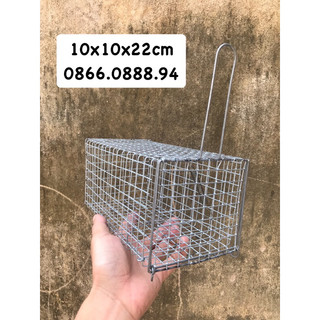 Lồng bẫy sóc,chuột 10x22cm🐁