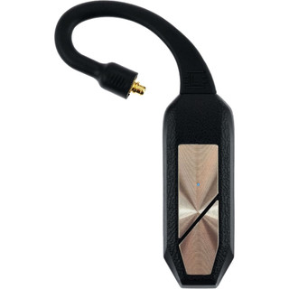 Module Bluetooth True Wireless iFi GO Pod - Chính hãng phân phối