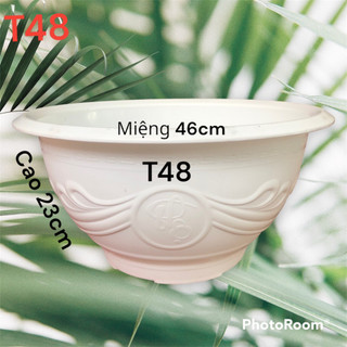 Chậu nhựa trồng cây 5 cái T48 trắng loại dày dặn