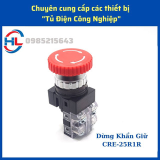 Nút nhấn phi 22, nút nhấn nhả/giữ, Công tắc xoay (Nhiều loại)