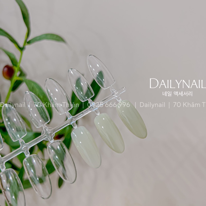 Sơn Gel thạch tone Xanh Ghi S03