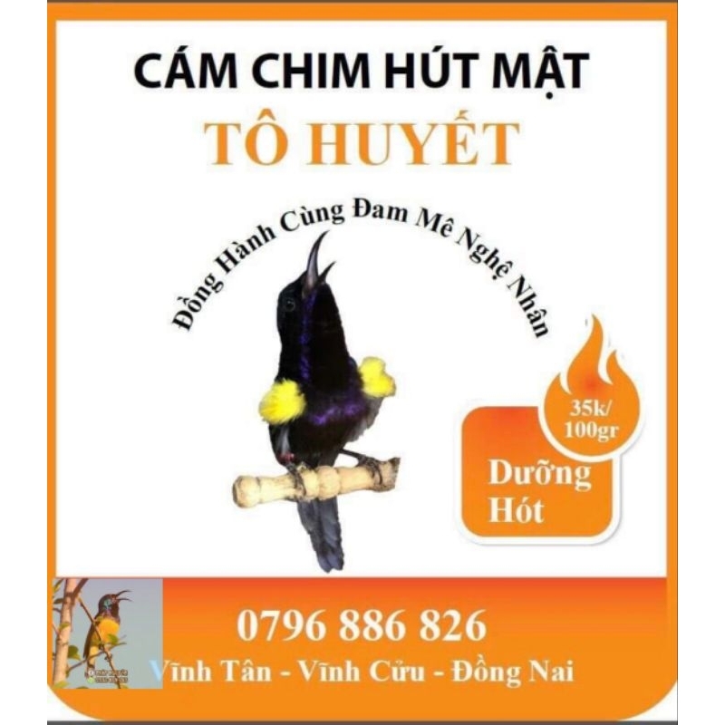 Cám Chim Hút Mật Tô Huyết - Dưỡng Hót